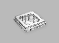 Cell Culture Plates, non-treated, PS, sterile