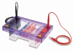 Gel electrophoresis tank MultiSUB Midi