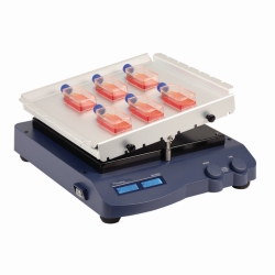 Rocking shaker RS-RR 10