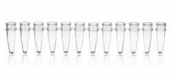 PCR tubes strips of 12, PP, without caps