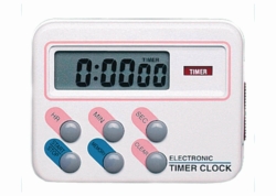 Electronic timer clock