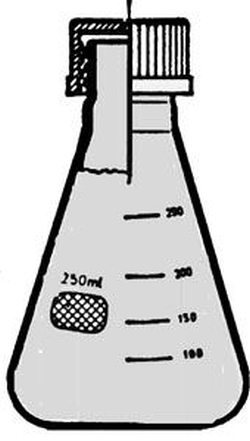 Erlenmeyerkolben mit Schraubverschluss, Braunglas