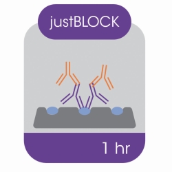 Blocking solution for Western blot