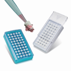 Cell strainers Flowmi™