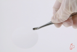 Membrane filtrante, ac&eacute;tate de cellulose, non st&eacute;rile