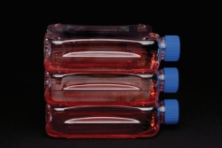 Cell culture flasks Nunc™ 300cm², treated, PS/HDPE, sterile