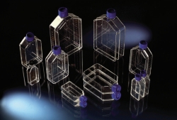Cell Culture Flasks, Nunclon™Δ Surface, PS/HDPE, sterile