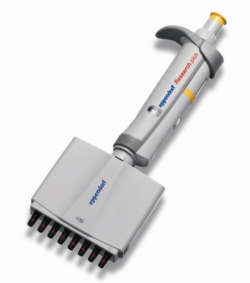 Multichannel microliter pipettes Eppendorf Research® plus (General Lab Product), variable