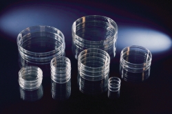 Petri Dishes, PS, with grid