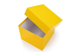 Cajas criogénicas de almacenamiento LLG, plastificadas, 136 x 136, sin divisores