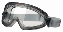 Panoramic Eyeshield 2890 and 2890SA