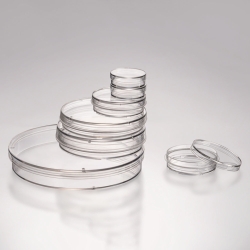 Zell- und Gewebekulturschalen, unbehandelt, PS, steril