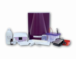 Pack de flux de travail Western Blot WESTERNFLOWLITE